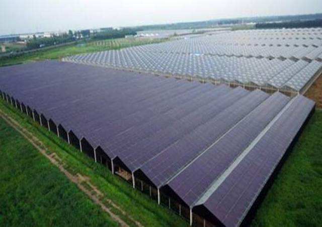 The magical solar farm mounting systems gives green plants a superior growth environment